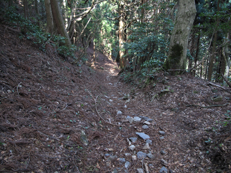 20140502hike (403)